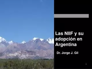 las niif y su adopci n en argentina