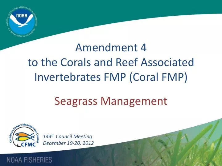 amendment 4 to the corals and reef associated invertebrates fmp coral fmp