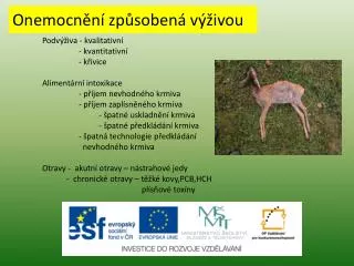 onemocn n zp soben v ivou