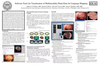 Software Tools for Visualization of Multimodality Brain Data for Language Mapping