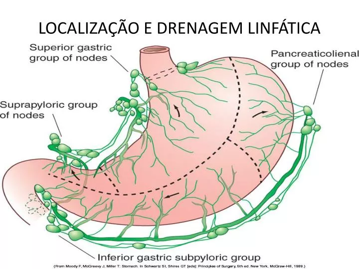 localiza o e drenagem linf tica