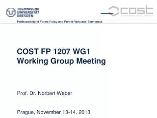COST FP 1207 WG1 Working Group Meeting