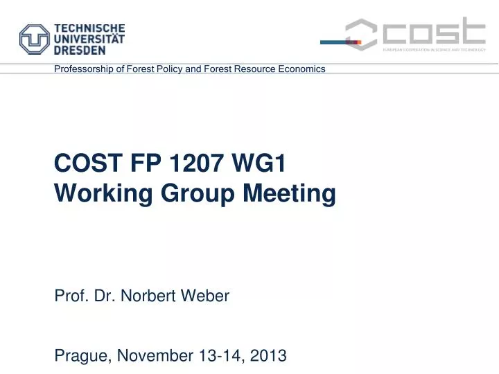 cost fp 1207 wg1 working group meeting