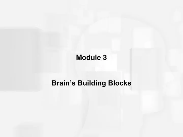 module 3