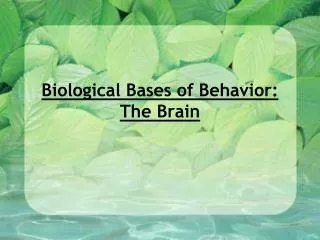 Biological Bases of Behavior: The Brain
