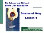 Shades of Gray Lesson 4 - slide 1
