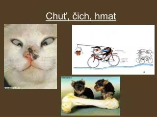 chu ich hmat