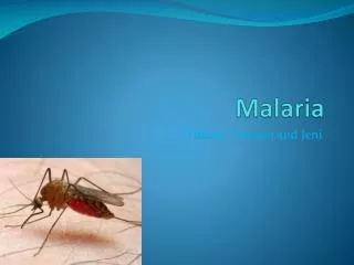 Malaria