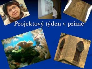 projektov t den v prim