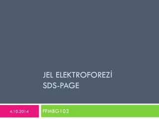 jel elektroforez sds page