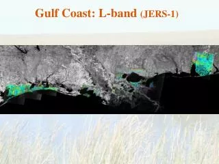 Gulf Coast: L-band (JERS-1)