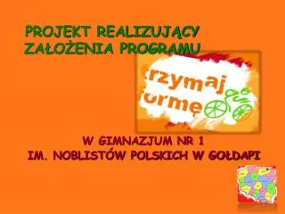 projekt realizuj cy za o enia programu