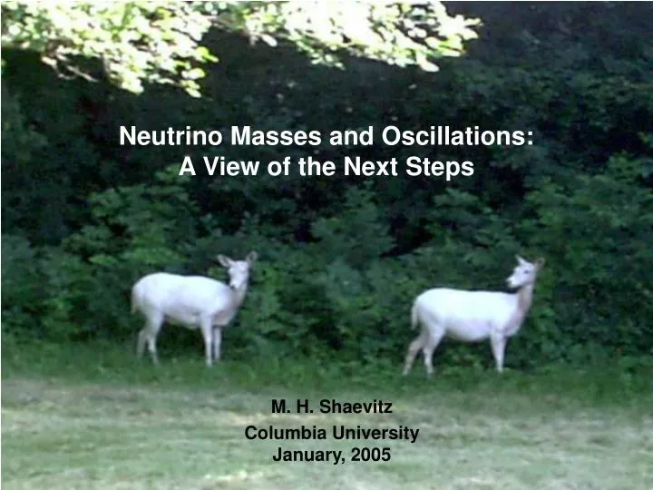 neutrino masses and oscillations a view of the next steps