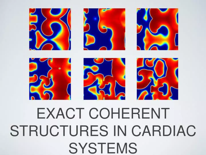 exact coherent structures in cardiac systems