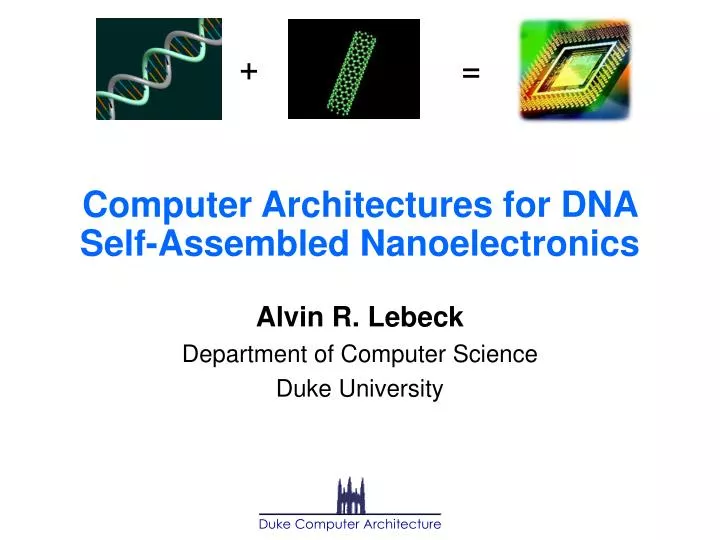 computer architectures for dna self assembled nanoelectronics