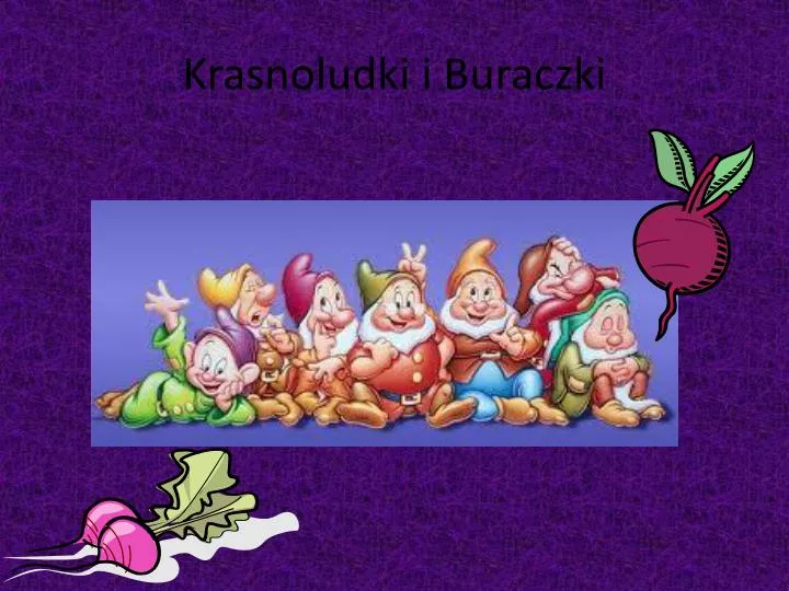 krasnoludki i buraczki