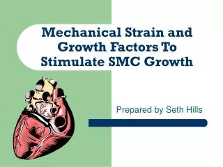 Mechanical Strain and Growth Factors To Stimulate SMC Growth