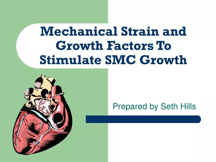 mechanical strain and growth factors to stimulate smc growth