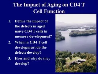 The Impact of Aging on CD4 T Cell Function