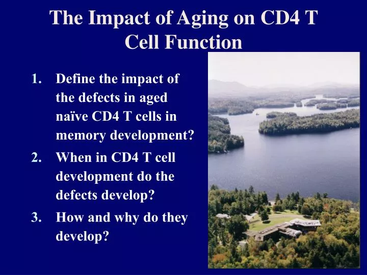 the impact of aging on cd4 t cell function
