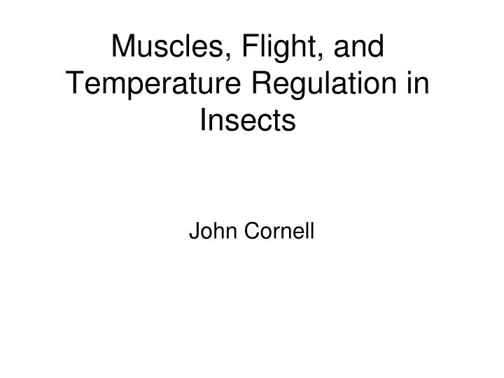 muscles flight and temperature regulation in insects