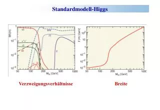 standardmodell higgs