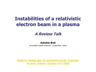 Instabilities of a relativistic electron beam in a plasma A Review Talk