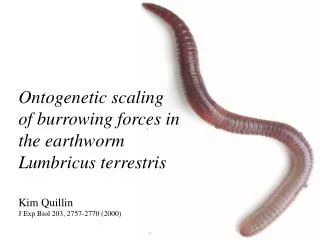 Ontogenetic scaling of burrowing forces in the earthworm Lumbricus terrestris