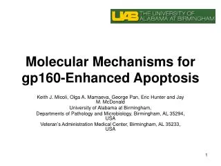 Molecular Mechanisms for gp160-Enhanced Apoptosis