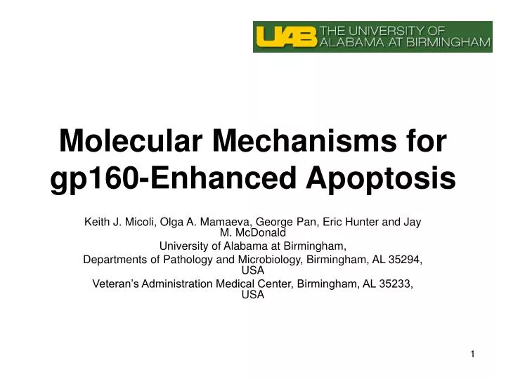 molecular mechanisms for gp160 enhanced apoptosis