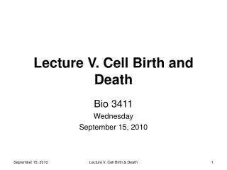 Lecture V. Cell Birth and Death