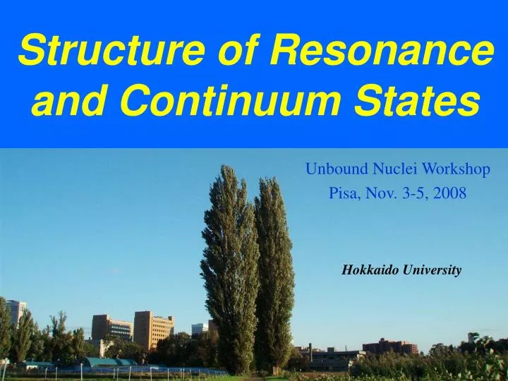 structure of resonance and continuum states