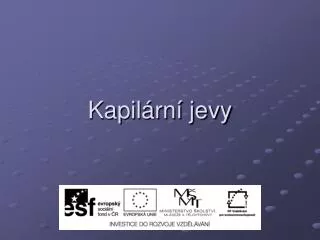 kapil rn jevy
