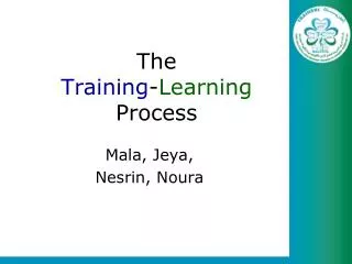 The Training - Learning Process
