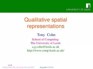 Qualitative spatial representations