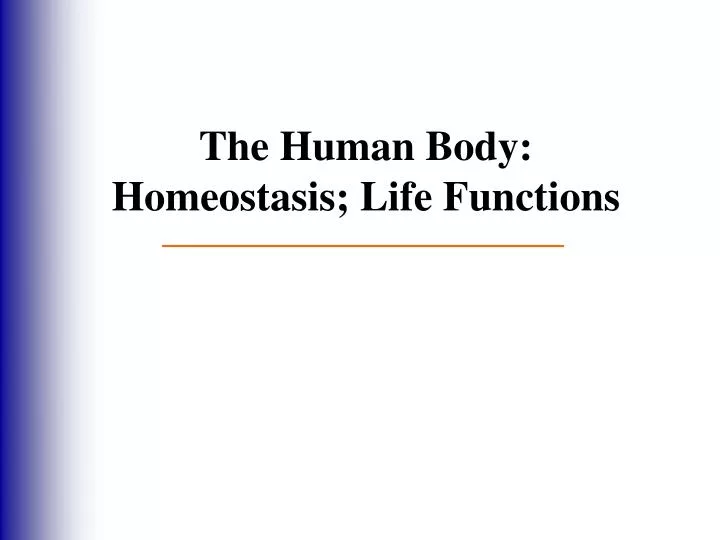 the human body homeostasis life functions