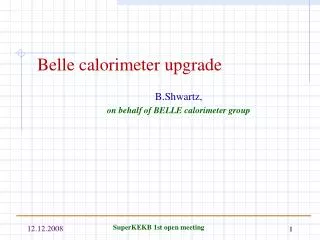 Belle calorimeter upgrade