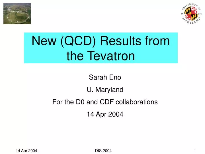 new qcd results from the tevatron