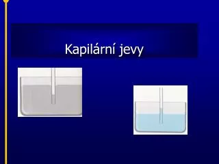 kapil rn jevy