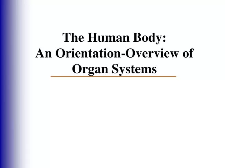 the human body an orientation overview of organ systems