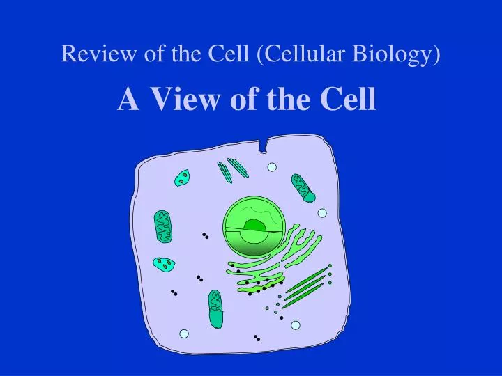 review of the cell cellular biology