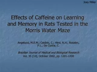 Effects of Caffeine on Learning and Memory in Rats Tested in the Morris Water Maze