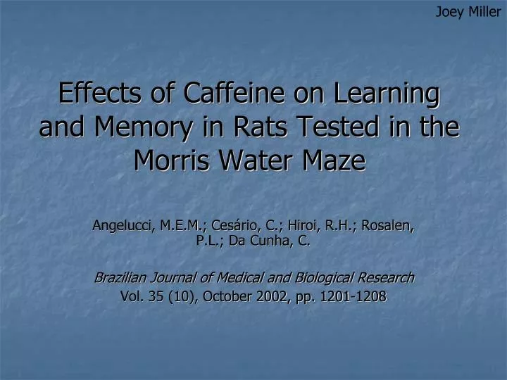 effects of caffeine on learning and memory in rats tested in the morris water maze