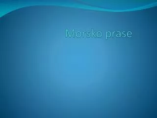 morsko prase