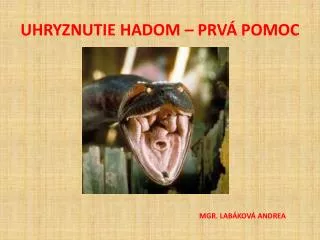 uhryznutie hadom prv pomoc