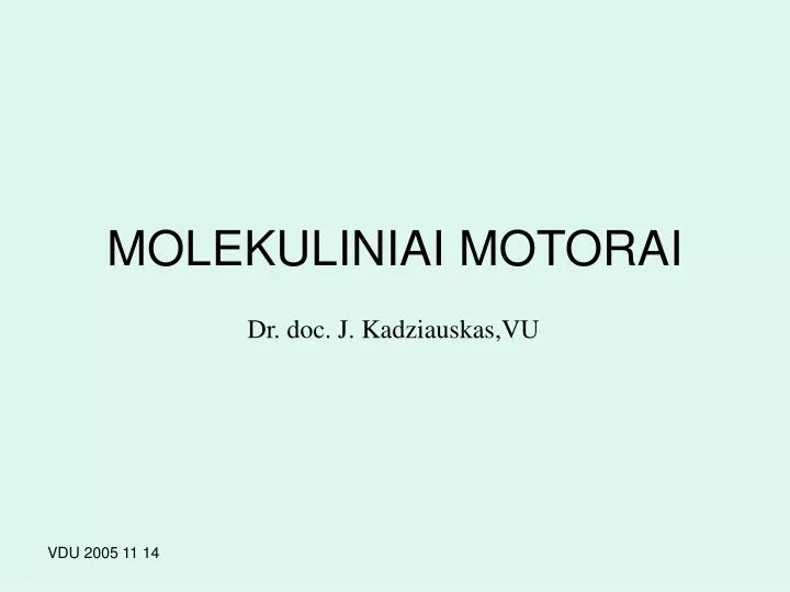 molekuliniai motorai