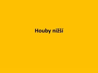 houby ni