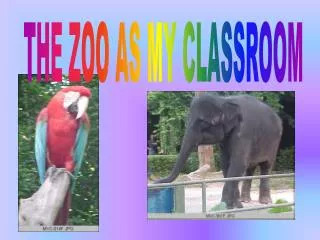 THE ZOO AS MY CLASSROOM