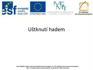 u tknut hadem