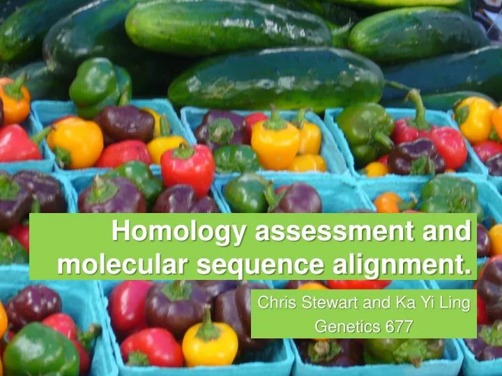 homology assessment and molecular sequence alignment